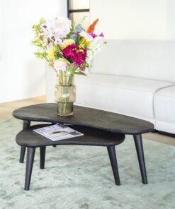 Alternative view of Sidetable set Guus